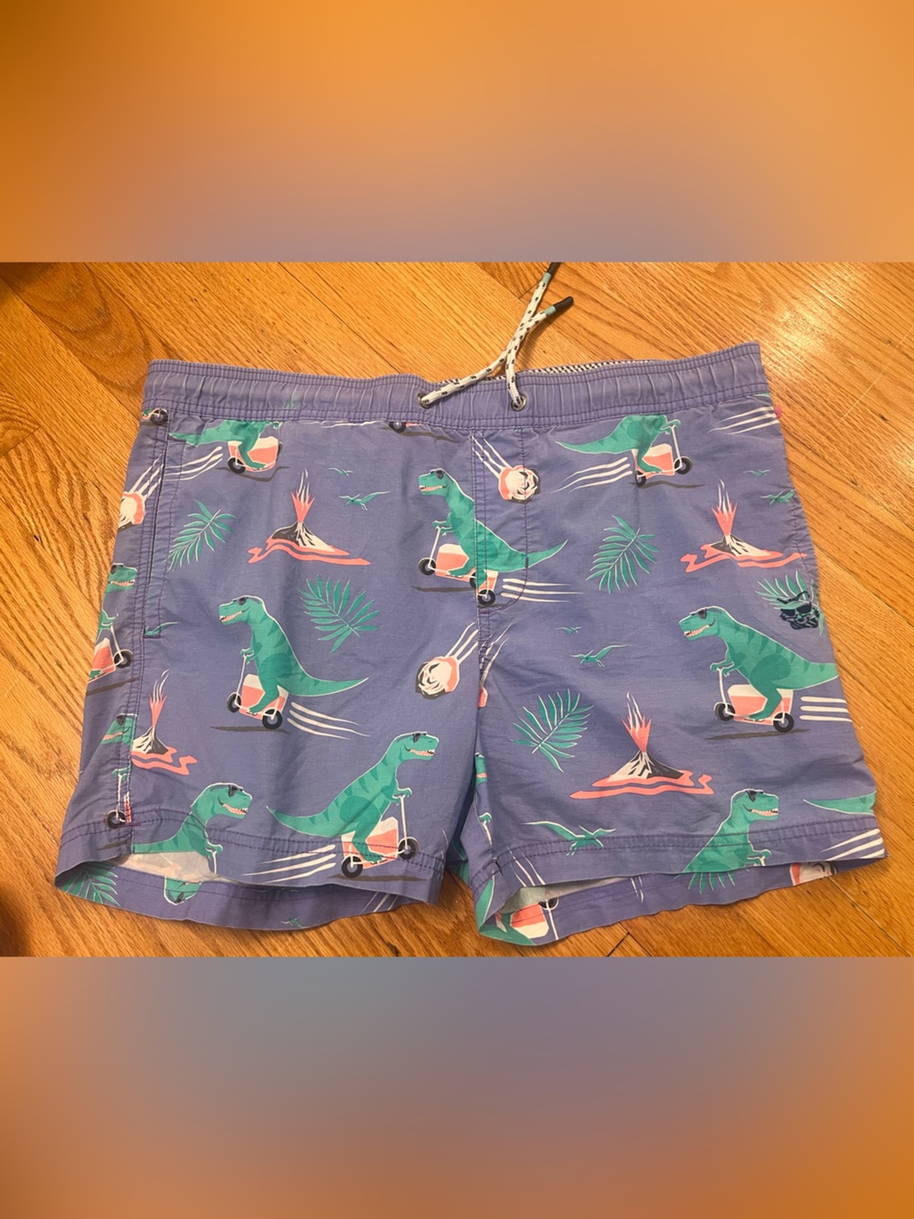 Purple Tropical Dino Print party pants shorts swimming trunks